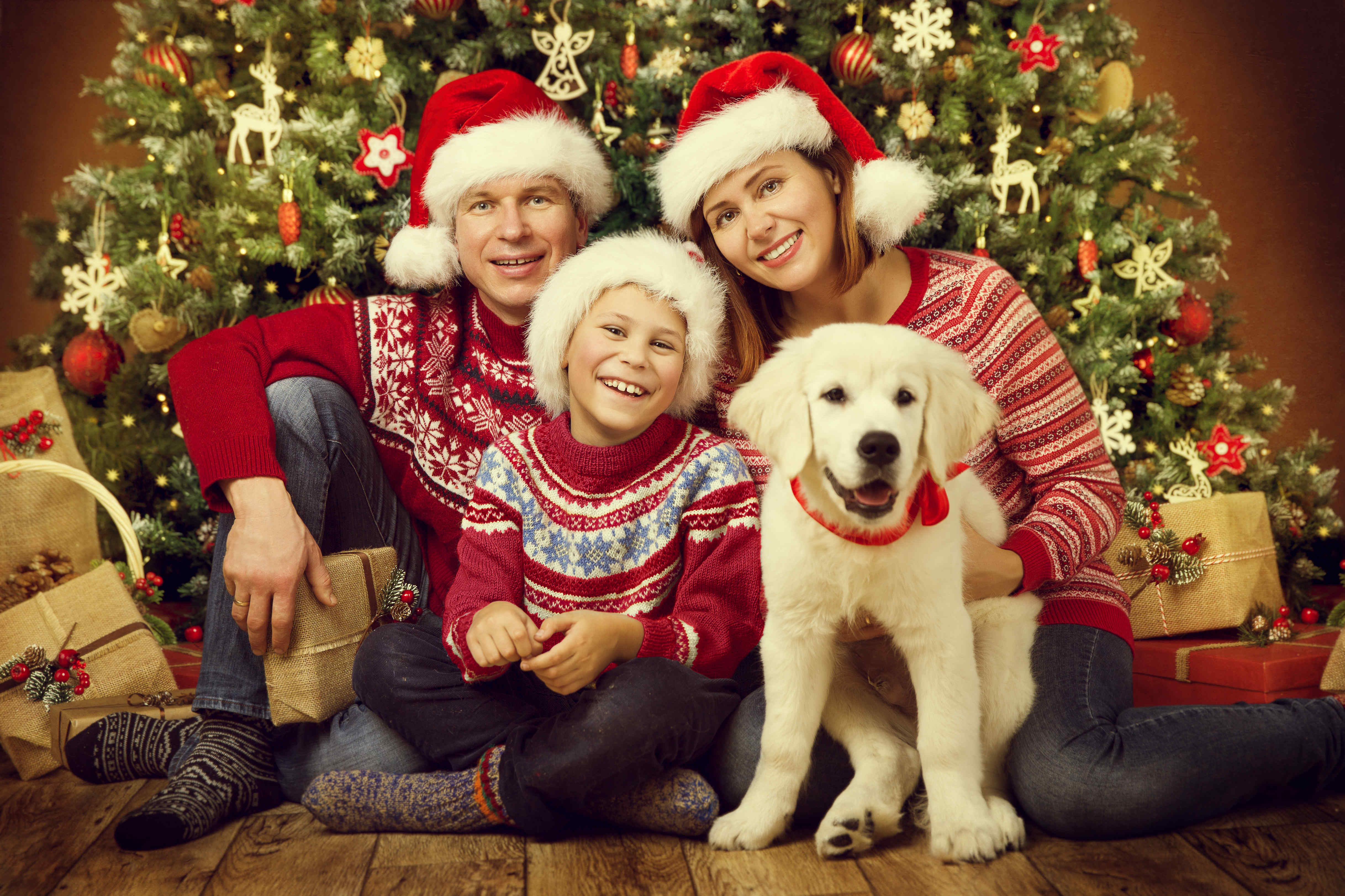 温馨圣诞节里的一家人摄影图